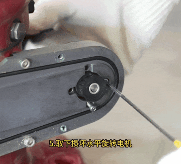 5.gif