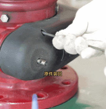 7.gif